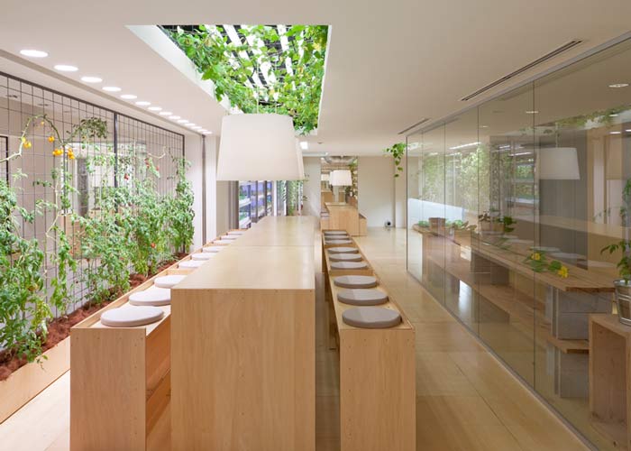 設(shè)置背景,形成對(duì)比